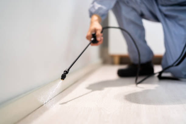Rodent Entry Point Assessment in Vandercook Lake
