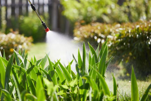 Tamper-Resistant Bait Stations for Rodents in Vandercook Lake