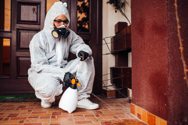 Attic and Crawl Space Rodent Treatment in Vandercook Lake