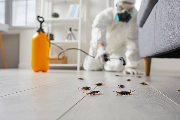 Commercial Rodent Management in Vandercook Lake